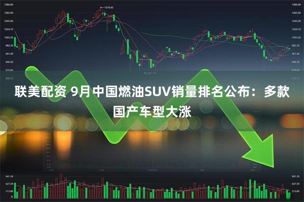 联美配资 9月中国燃油SUV销量排名公布：多款国产车型大涨