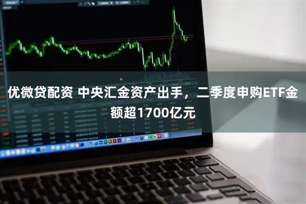 优微贷配资 中央汇金资产出手，二季度申购ETF金额超1700亿元