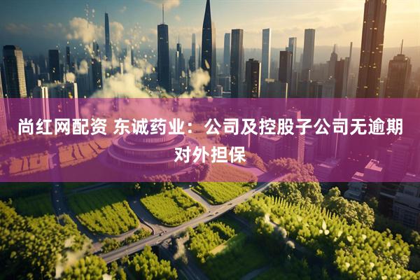 尚红网配资 东诚药业：公司及控股子公司无逾期对外担保